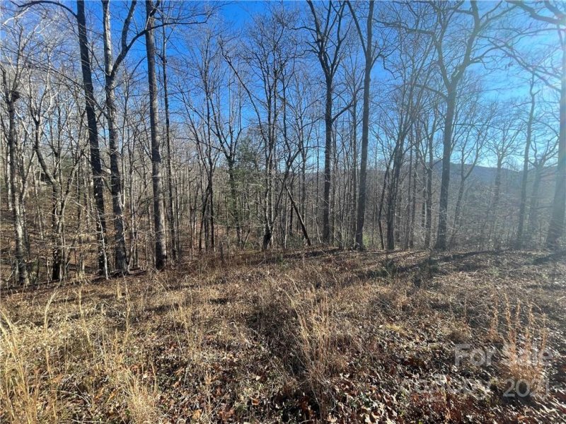 Property image 4 at 999 South Hampton Road, Brevard, NC 28712