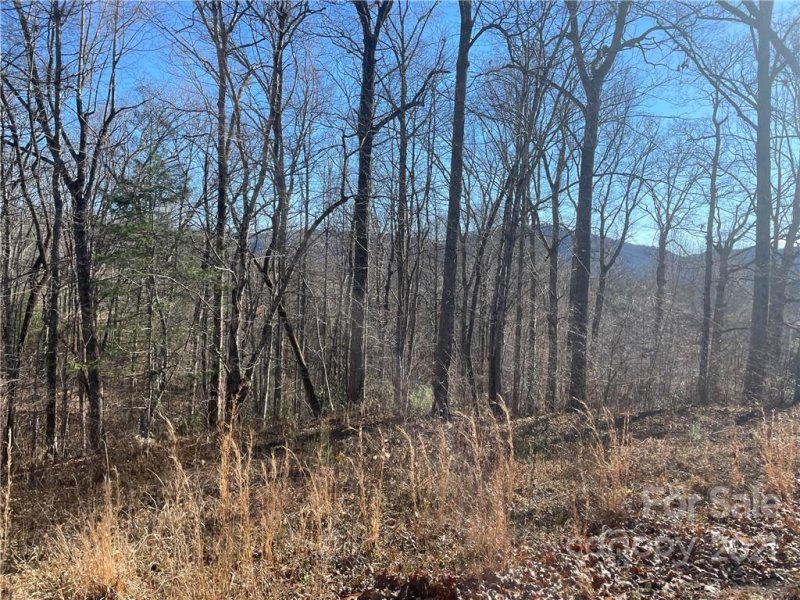 Property image 5 at 999 South Hampton Road, Brevard, NC 28712