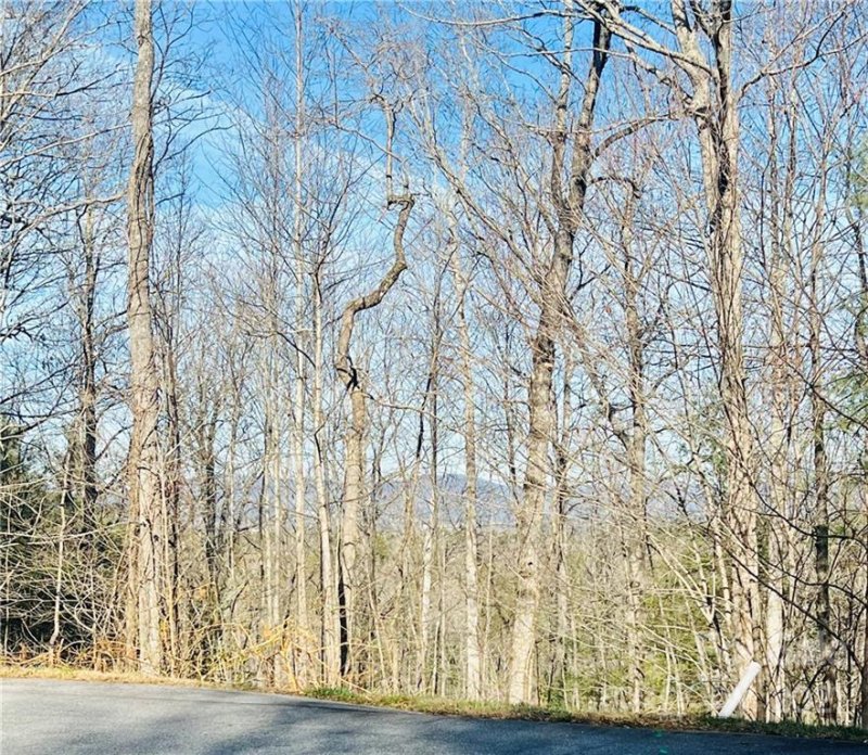 96 Turkey Roost Court