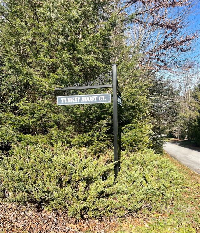 Property image 5 at 96 Turkey Roost Court, Hendersonville, NC 28739