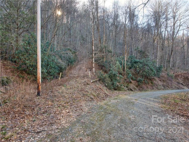 Property image 3 at 14 45 Hemlock Springs Road, Clyde, NC 28721