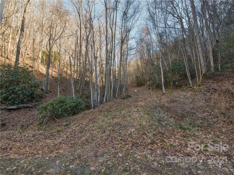 Property image 4 at 14 45 Hemlock Springs Road, Clyde, NC 28721