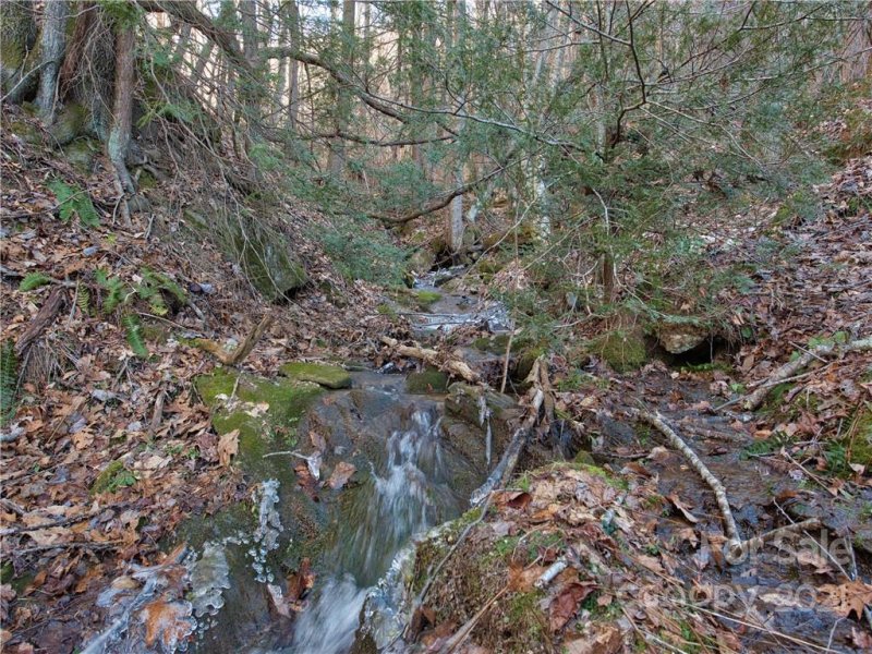 Property image 5 at 14 45 Hemlock Springs Road, Clyde, NC 28721