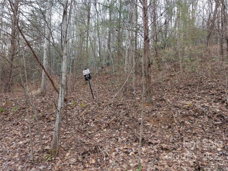 Property image 3 at 00 Southview Court, Marion, NC 28752