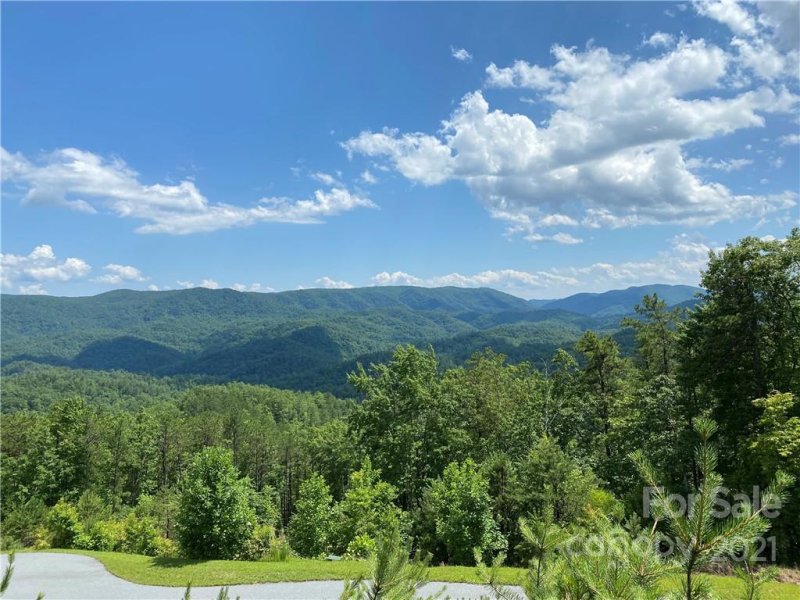 Lot 1320 Round Leaf Lane