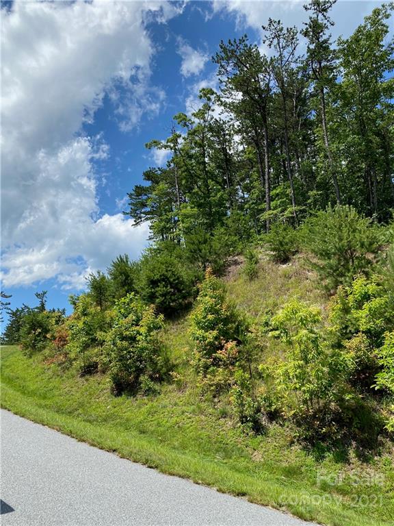 Property image 4 at Lot 1320 Round Leaf Lane, Ferguson, NC 28624