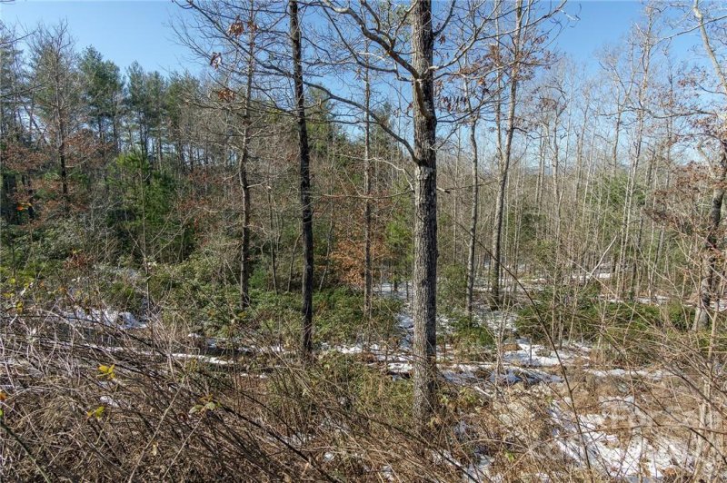 Property image 5 at V L Ridge Point Road, Nebo, NC 28761