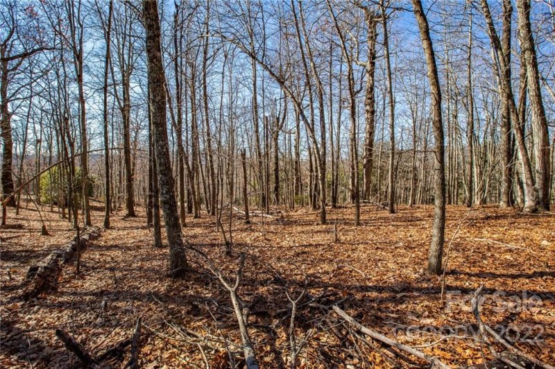 Property image 2 at 99999 Burnt Ridge Trail, Black Mountain, NC 28711