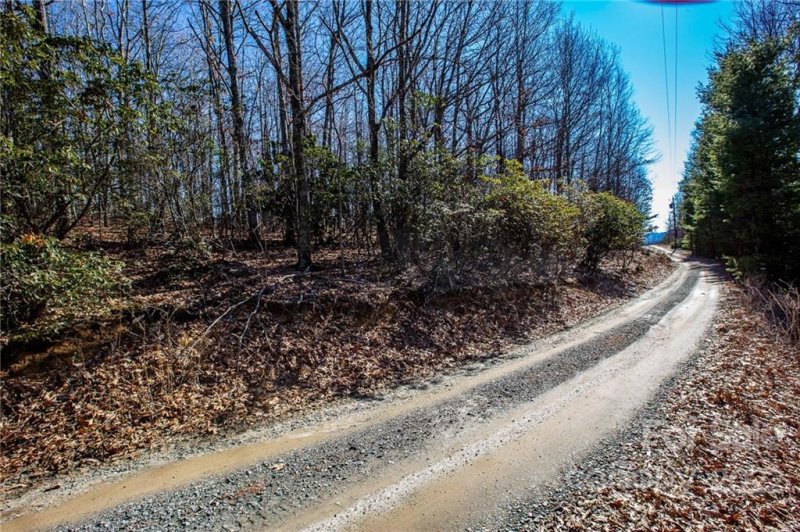 Property image 3 at 99999 Burnt Ridge Trail, Black Mountain, NC 28711