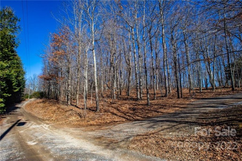 Property image 4 at 99999 Burnt Ridge Trail, Black Mountain, NC 28711