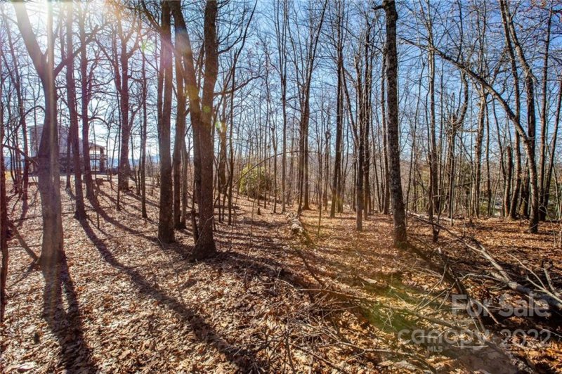 Property image 5 at 99999 Burnt Ridge Trail, Black Mountain, NC 28711
