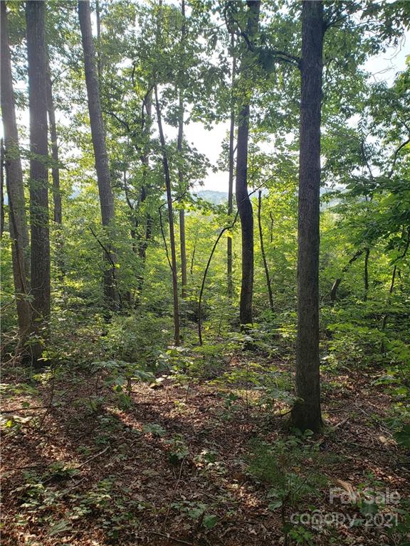 Property image 3 at 15 Ridgeview Lane, Iron Station, NC 28080