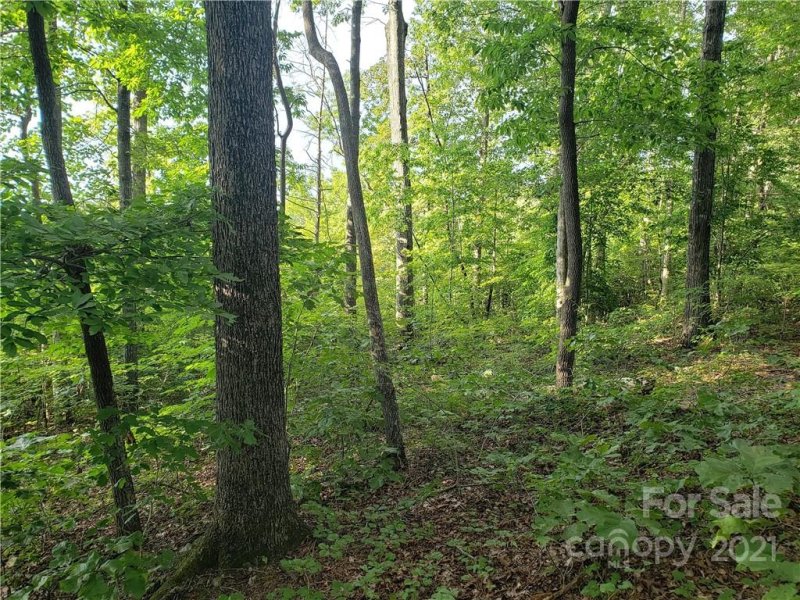 Property image 4 at 15 Ridgeview Lane, Iron Station, NC 28080