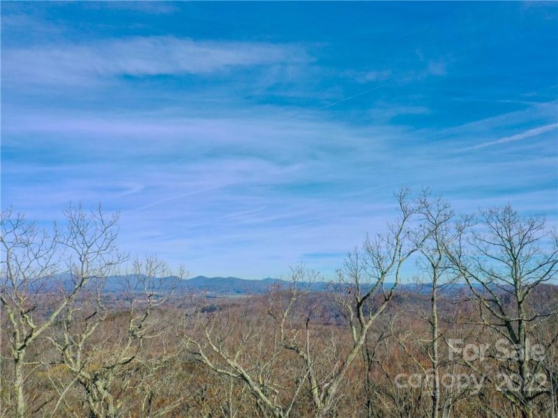 Property image 2 at 1114 Mills River Way, Horse Shoe, NC 28742