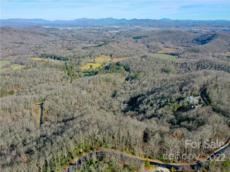 Property image 3 at 1114 Mills River Way, Horse Shoe, NC 28742