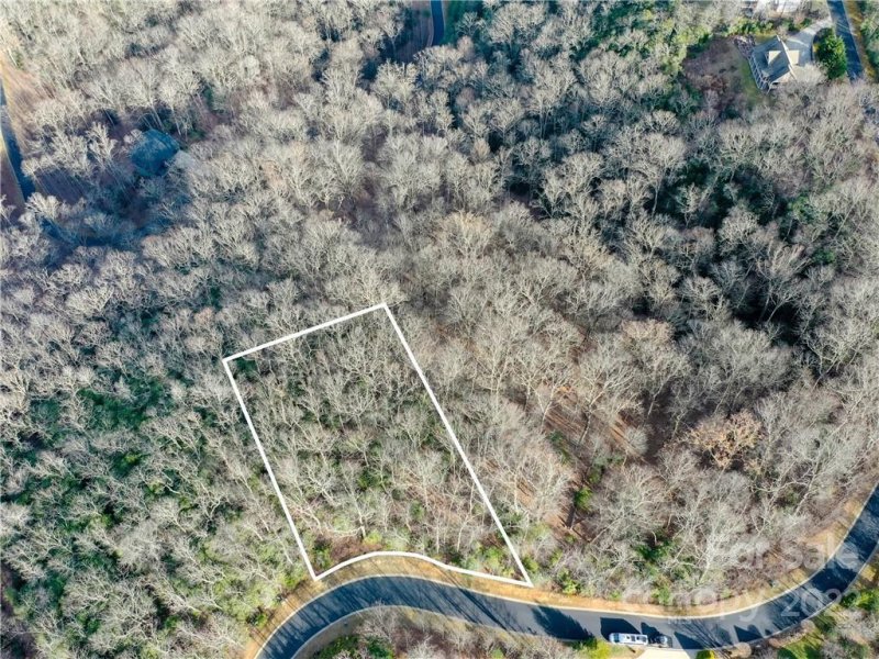 Property image 5 at 1114 Mills River Way, Horse Shoe, NC 28742