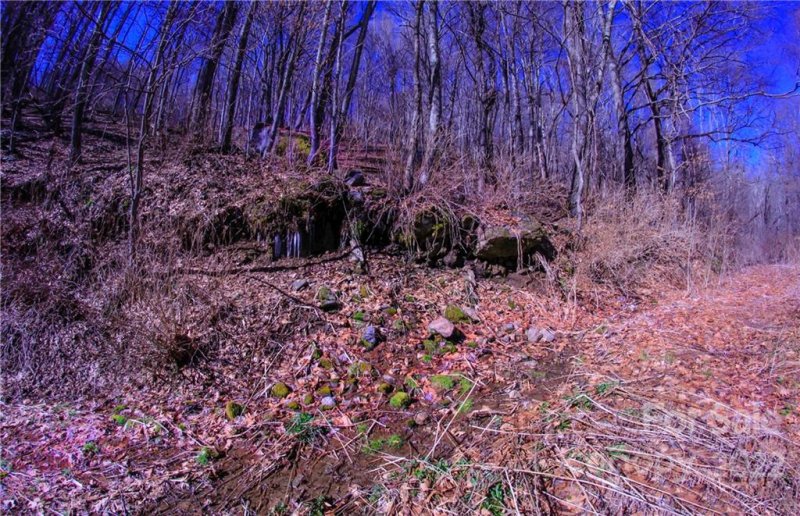 Property image 2 at 00 South Cove Road, Canton, NC 28716