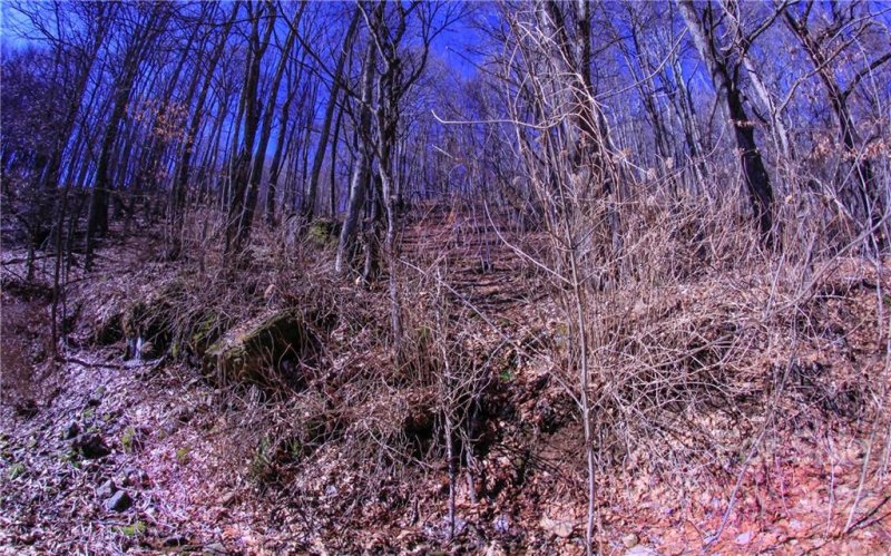 Property image 3 at 00 South Cove Road, Canton, NC 28716