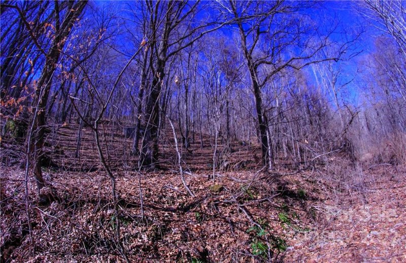 Property image 4 at 00 South Cove Road, Canton, NC 28716