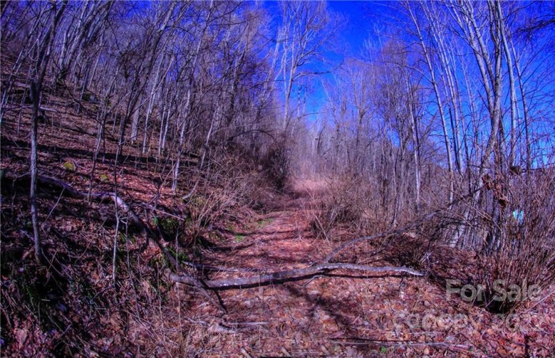 Property image 5 at 00 South Cove Road, Canton, NC 28716