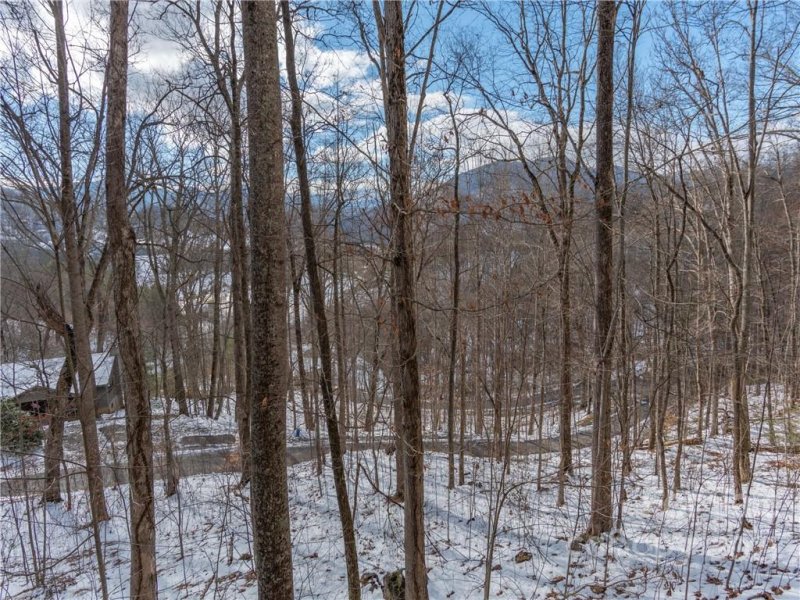 Property image 3 at 1133 Utah Mountain Road, Waynesville, NC 28785