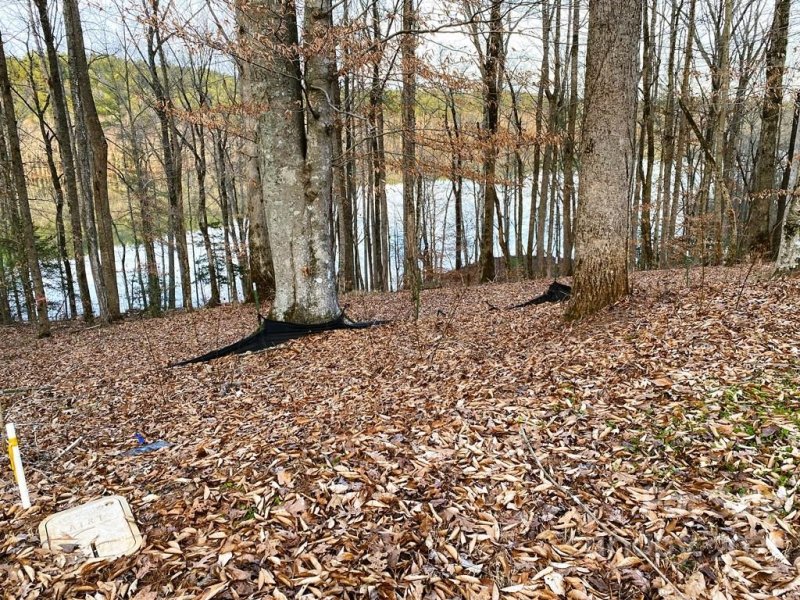 Property image 3 at 137 Glass Water Point, Valdese, NC 28690