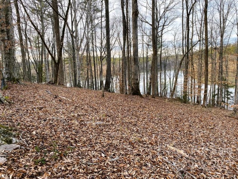 Property image 5 at 137 Glass Water Point, Valdese, NC 28690