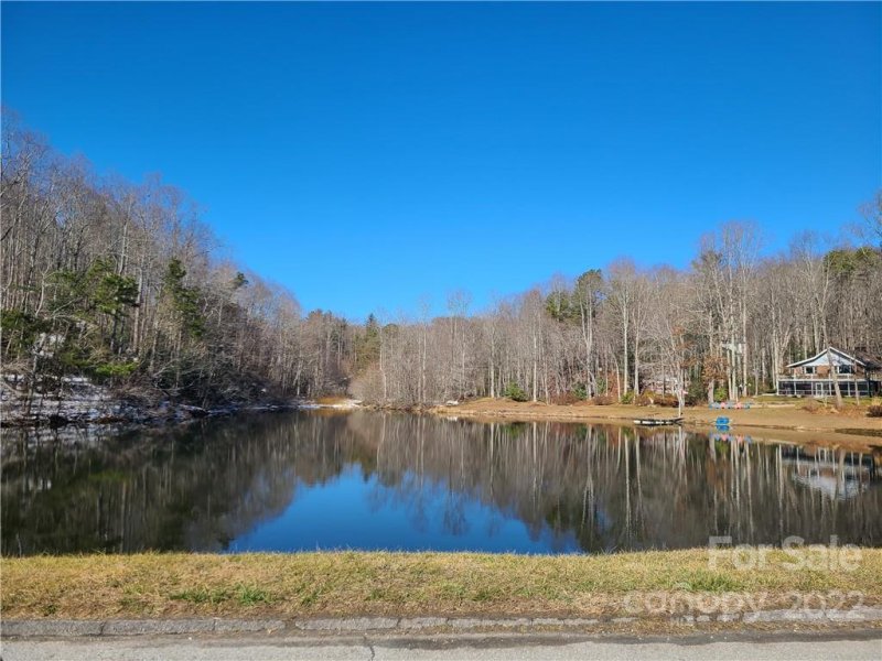 Property image 5 at 196 Willow Bend, Hendersonville, NC 28792