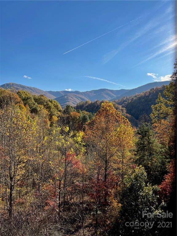 Property image 2 at 160 White Oak Pointe, Whittier, NC 28789