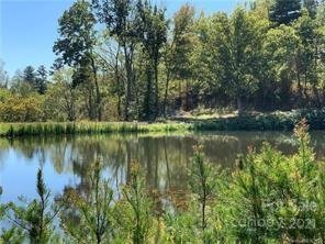 Property image 2 at 99999 Horizon Way, Alexander, NC 28701