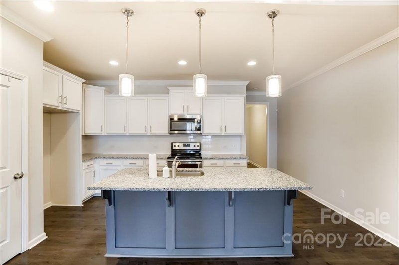 Property image 3 at 450 Tayberry Lane, Fort Mill, SC 29715