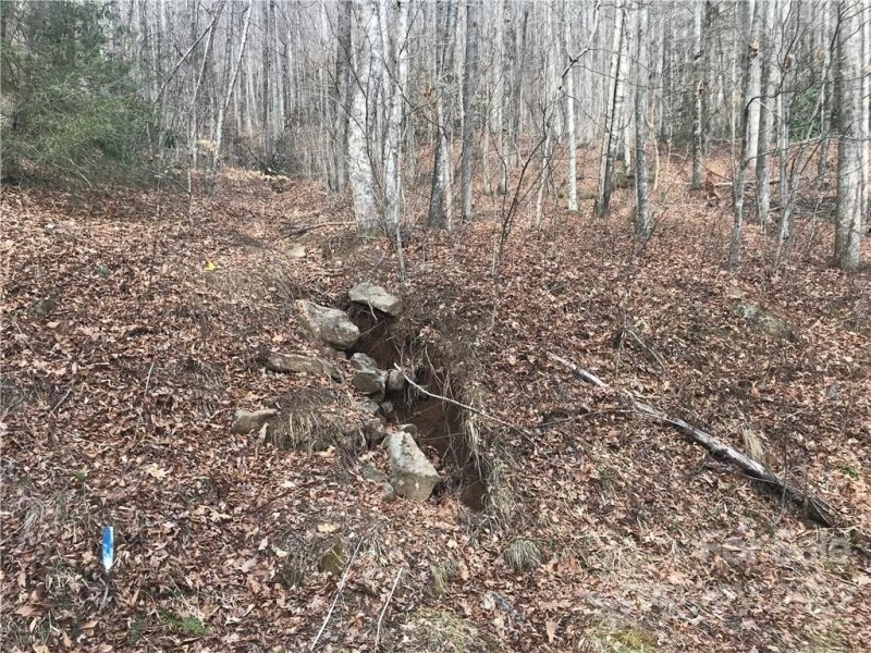 Property image 3 at 115 Sugar Maple Drive, Black Mountain, NC 28711