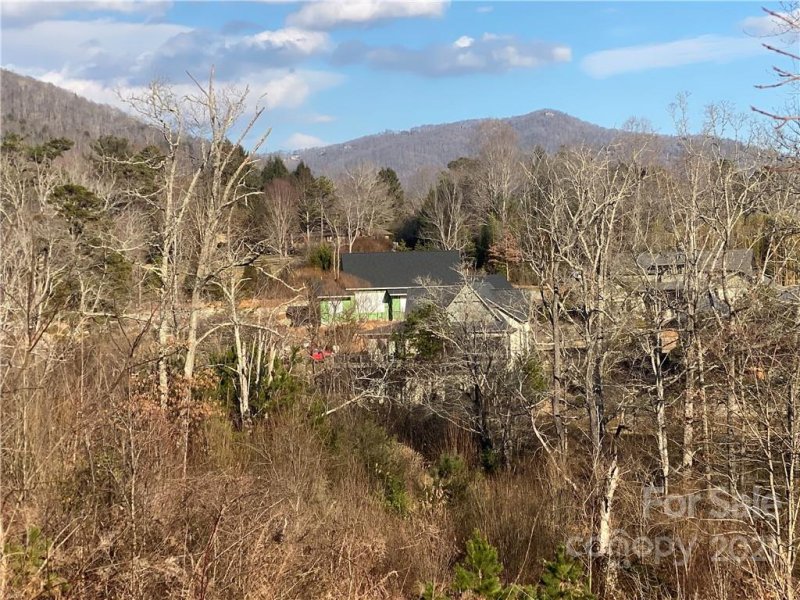 Property image 5 at 17 Versailles Lane, Asheville, NC 28804