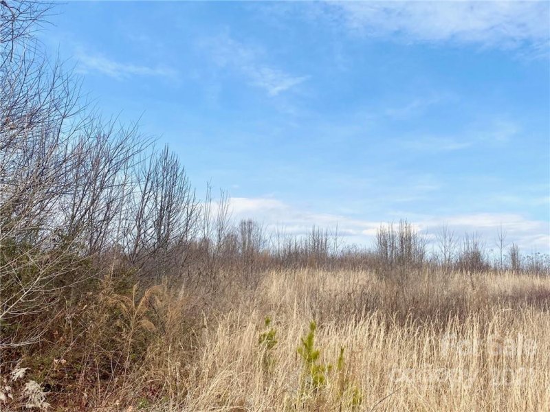 Property image 4 at 0 Stable Brook Lane, Taylorsville, NC 28681