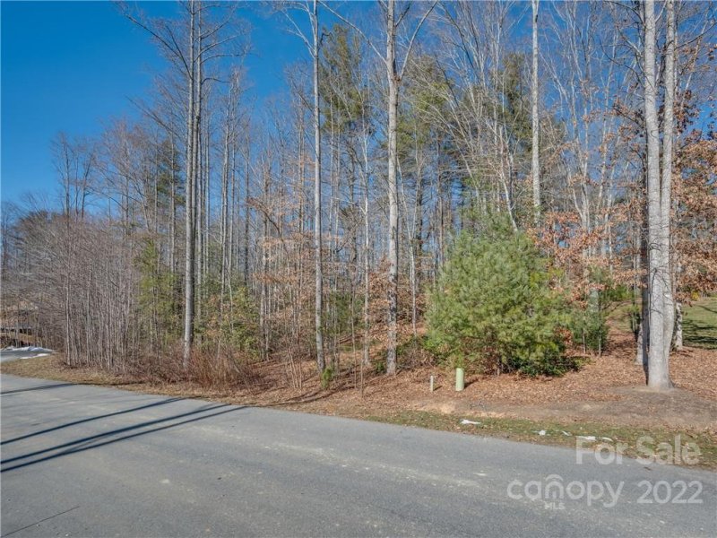 Property image 2 at 160 N Ridgeview Hill Drive, Hendersonville, NC 28791