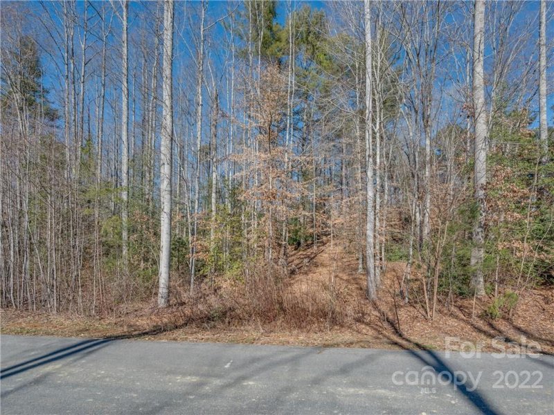 Property image 3 at 160 N Ridgeview Hill Drive, Hendersonville, NC 28791