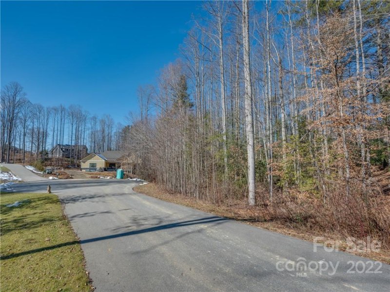 Property image 4 at 160 N Ridgeview Hill Drive, Hendersonville, NC 28791