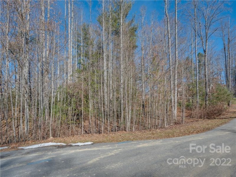 Property image 5 at 160 N Ridgeview Hill Drive, Hendersonville, NC 28791