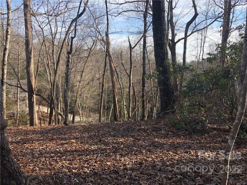Property image 2 at 0 Wilderness Road, Lake Lure, NC 28746