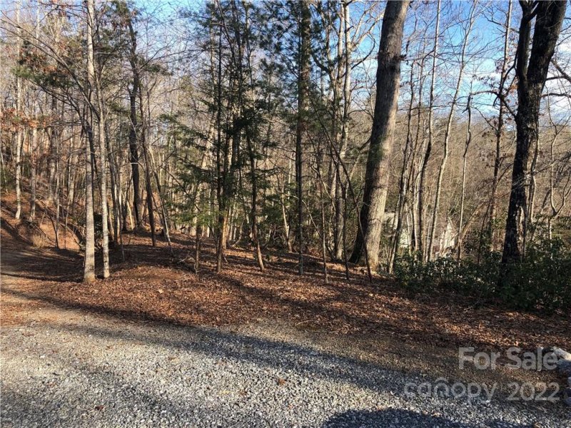 Property image 4 at 0 Wilderness Road, Lake Lure, NC 28746