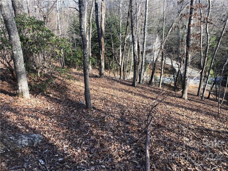 Property image 5 at 0 Wilderness Road, Lake Lure, NC 28746