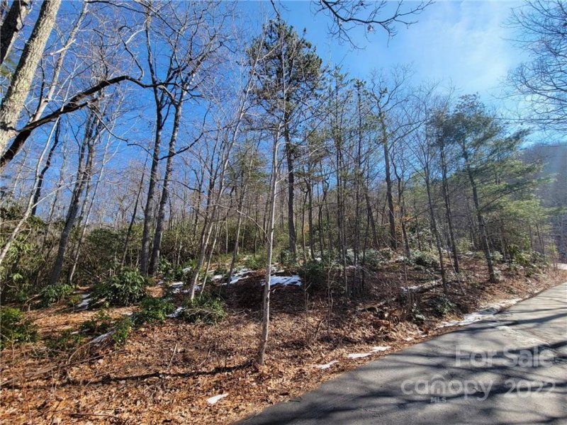 Property image 2 at 00000 Hunting Lodge Drive, Black Mountain, NC 28711