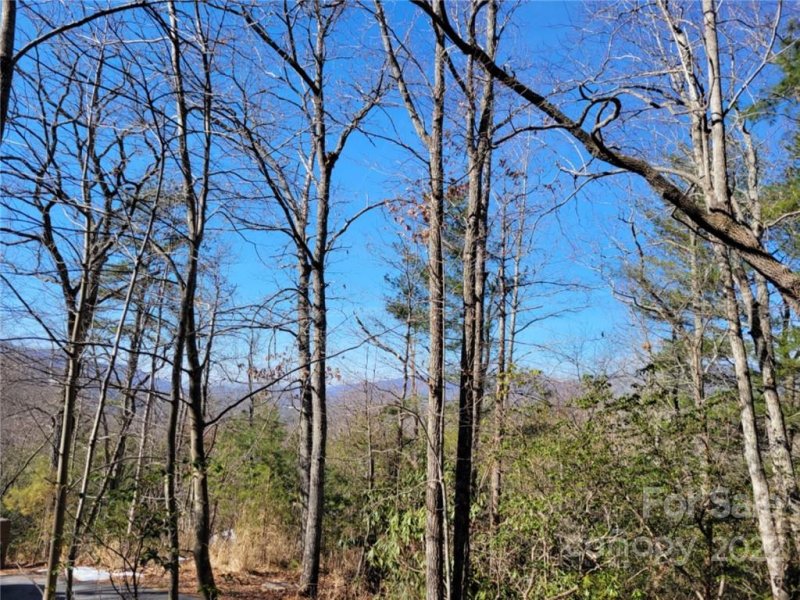 Property image 3 at 00000 Hunting Lodge Drive, Black Mountain, NC 28711