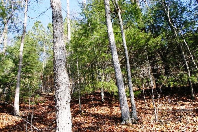 Property image 5 at 3067 Sams Way, Granite Falls, NC 28630