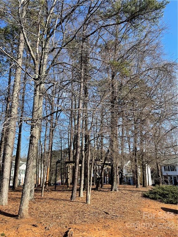 Property image 2 at 2866 Hosta Drive, Charlotte, NC 28269