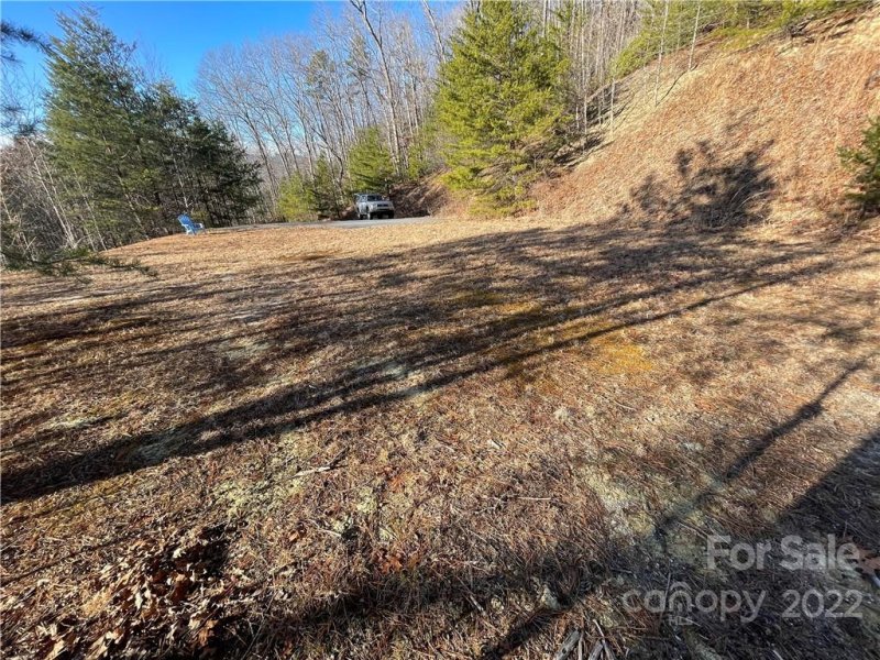 Property image 3 at 00000 Peaks Drive, Lake Lure, NC 28746