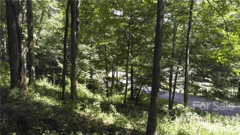 194 Blue Ridge Drive