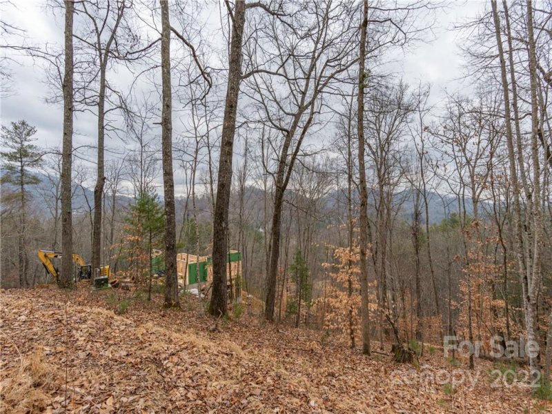 Property image 4 of 189 Sandys Home Place in Mountain Meadows, Mars Hill, NC 28754