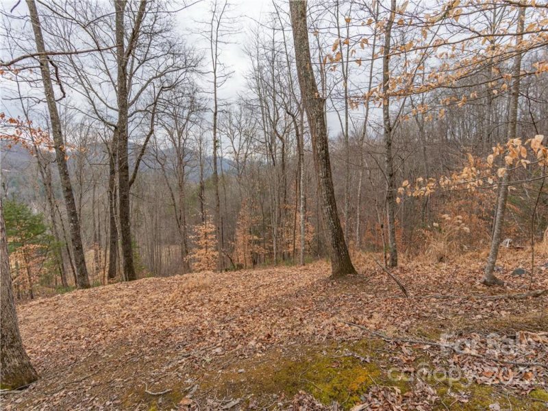 Property image 5 of 189 Sandys Home Place in Mountain Meadows, Mars Hill, NC 28754