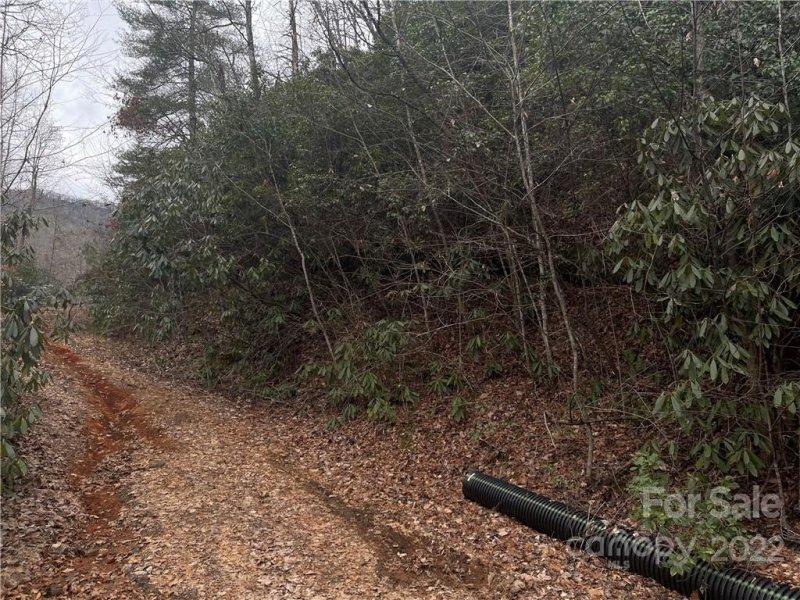Property image 2 at 00 Brushy Fork Road, Sylva, NC 28779